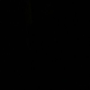 Meet your Posher, Carter